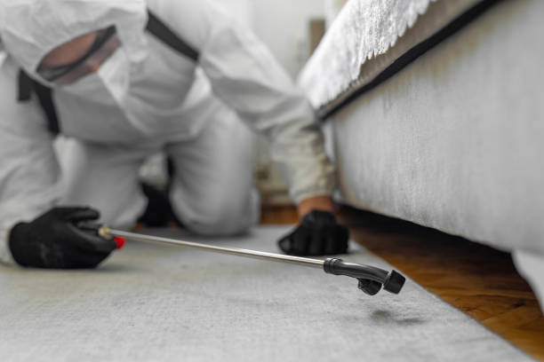 Professional Termite Control technician working in Choccolocco, AL