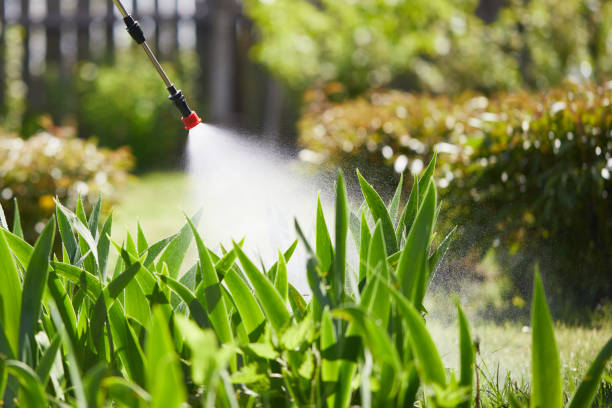 24/7 Emergency Termite Control experts in Choccolocco, AL