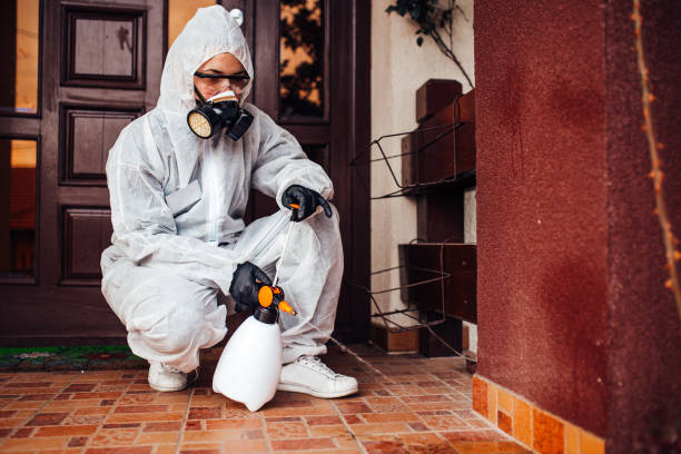 Reliable Termite Control contractor in Choccolocco, AL by Nex Pest Control